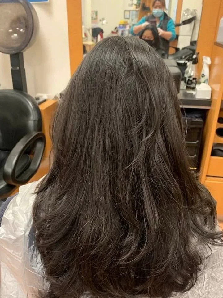 Before: Dark, layered hair with no color.