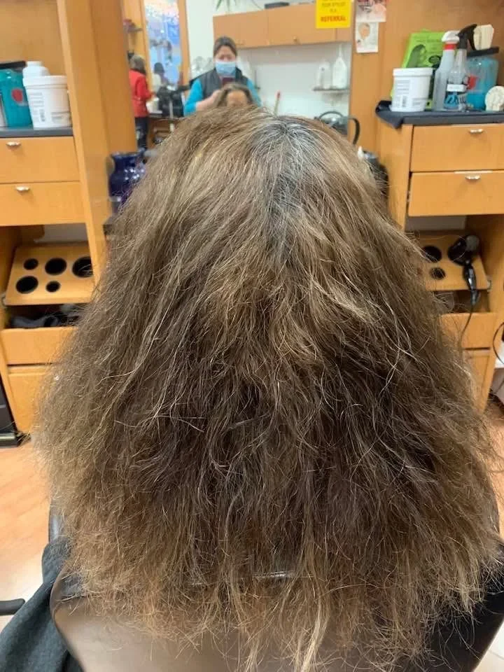 Before: Dry, frizzy hair with faded color and gray roots.