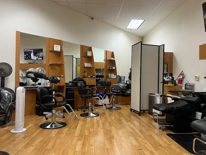 Inside the salon: styling chairs facing wood mirror stations, hood dryers and a shampoo chair.