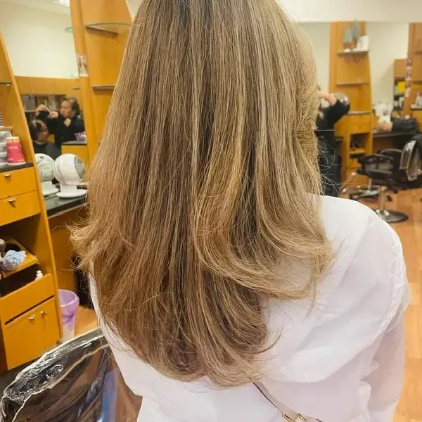 Straight, layered hair with a blonde balayage, blown out smooth.